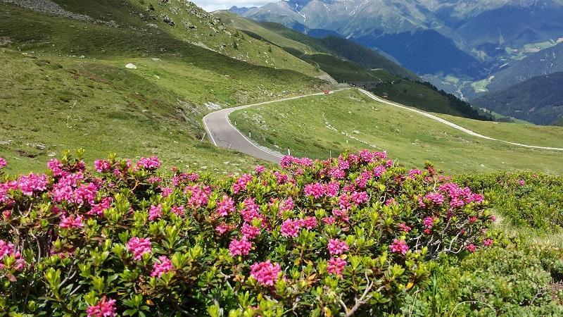 Pension Schoenblick Freienfeld Zewnętrze zdjęcie